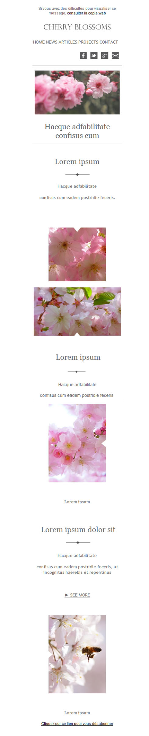 Templates Emailing CherryBlossoms Sarbacane