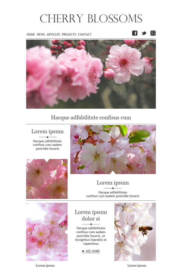 Templates Emailing CherryBlossoms Sarbacane