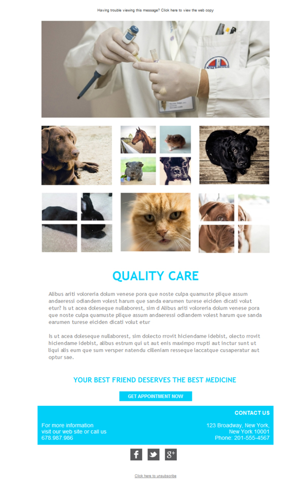 Veterinary Care Email template free for download